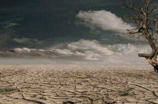 ▲地球環境不斷惡化