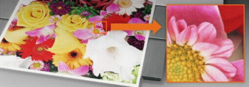 柯尼卡美能達227品牌環保顯影單元效果圖片--廣東震旦